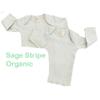 Infant Lap Tees Long Sleeve - 2 Pack Sage Striped view 1