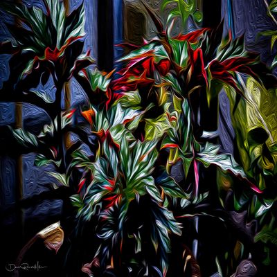 Begonia Unframed Print by David Randal Miller