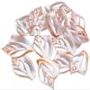 Set of 12 Center Cut Canarium Shells (2") Beach Crafts Coastal Cottage Decor Nautical Art Ornament Making Aquarium Deco view 1