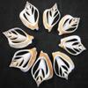 Set of 12 Center Cut Canarium Shells (2") Beach Crafts Coastal Cottage Decor Nautical Art Ornament Making Aquarium Deco view 3
