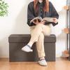 (Fujiboeki) Dino Storage Bench, 76cm, Braun view 2