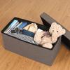 (Fujiboeki) Dino Storage Bench, 76cm, Braun view 3