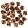 24 Pieces Christmas Natural Pine Cones, Rustic Pinecones Bulk Ornaments with Rope for Home Accent Decor, Fall Thanksgiving Tree Decoration Harvest Autumn Party Craft Accessory Decorations view 1