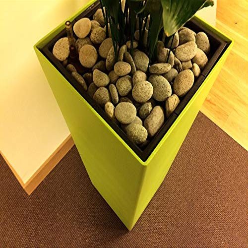 Home Comforts Pebbles Flowerpot Planters Bucket Stones-20 Inch by 30 Inch Laminated Poster with Bright Colors and Vivid Imagery-Fits Perfectly in Many Attractive Frames
