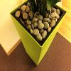 Home Comforts Pebbles Flowerpot Planters Bucket Stones-20 Inch by 30 Inch Laminated Poster with Bright Colors and Vivid Imagery-Fits Perfectly in Many Attractive Frames view 1