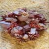 Whimsical candy cane Christmas wreath 26 round, 6.5 deep view 1