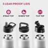 FineDine Water Bottle - Stainless Steel Insulated Water Bottle with Straw Lid, Flip Lid & Wide-Mouth Cap - Keeps Hot and Cold - 25 Oz / 739ml - Dreamy Black-White view 4