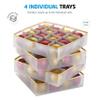 ZOBER Christmas Ornament Storage Box Plastic - Stores 64 3" Ornaments with Individual Trays - Ornament Organizer Storage Box, Durable Christmas Containers Holder - Gold view 3