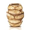 AeraVida 6.25 inch Mango Tree Hand-Carved Brown Wood Flower Vase Modern Oval Abstract Home Decor Accent Holder for Entry Table Contemporary Artistic Wooden Display | Wooden Vase | Brown Vase view 2