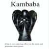 ABN Exports Reiki Energy Angel Kambaba Jasper Crystal Healing Crown Chakra Gift 2" view 2