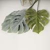 12 x Artificial Adan / Monstera Rib Leaves view 2
