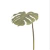 12 x Artificial Adan / Monstera Rib Leaves view 3