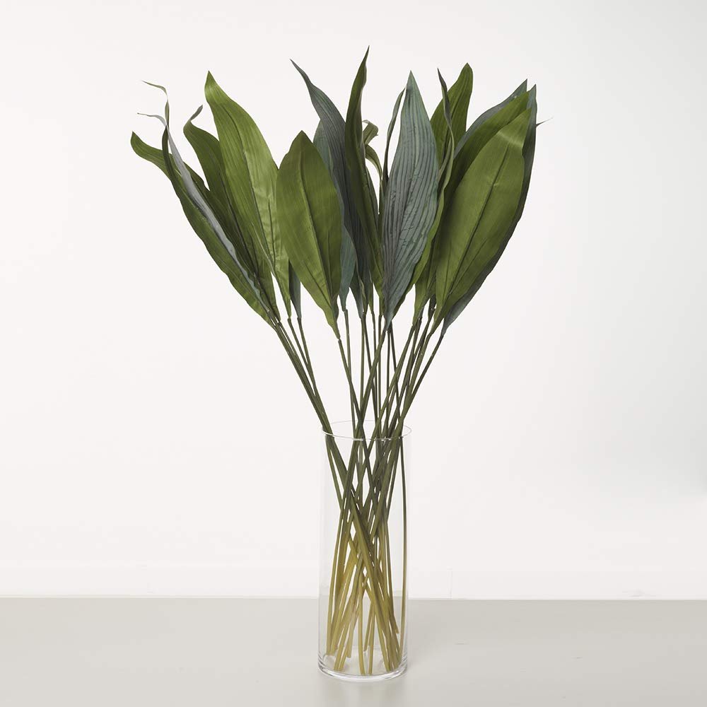 24 Artificial Spatifilium Leaves