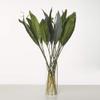 24 Artificial Spatifilium Leaves view 1