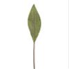 24 Artificial Spatifilium Leaves view 3