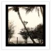 Climbing for Coconuts - Lahaina Hawaii USA - Vintage Hawaiian Real Photo Postcard by Ray Jerome Baker c.1908 - Bamboo Fine Art 290gsm Paper (Unframed) 17x22in view 1