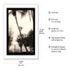 Climbing for Coconuts - Lahaina Hawaii USA - Vintage Hawaiian Real Photo Postcard by Ray Jerome Baker c.1908 - Bamboo Fine Art 290gsm Paper (Unframed) 17x22in view 2