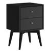 Alpine Furniture Flynn Mid Century Modern Mahogany Fully Assembled Bedroom Side Nightstand with 2 Bedside Storage Drawers, Black view 1