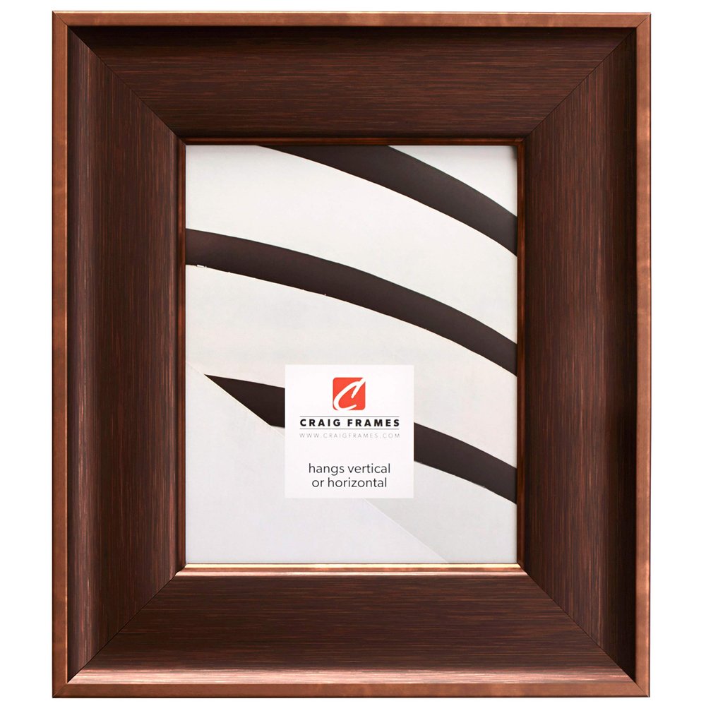 Craig Frames Resilience Wide Picture Frame, 20 x 20 Inch, Distressed Bronze