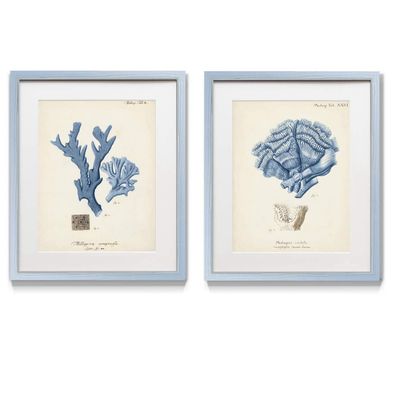 Renditions Gallery Antique Coral in Navy I 2 Piece Framed Artwork Set, Underwater Ocean Themed Pair, Blue, Modern Silver Frame, White Mat, Plexiglass, 16 In W X 20 In H, Made in America