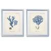 Renditions Gallery Antique Coral in Navy I 2 Piece Framed Artwork Set, Underwater Ocean Themed Pair, Blue, Modern Silver Frame, White Mat, Plexiglass, 16 In W X 20 In H, Made in America view 1