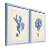 Renditions Gallery Antique Coral in Navy I 2 Piece Framed Artwork Set, Underwater Ocean Themed Pair, Blue, Modern Silver Frame, White Mat, Plexiglass, 16 In W X 20 In H, Made in America view 2