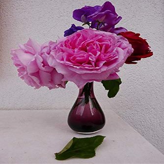 Home Comforts Bouquet Garden Roses Flowering Flowers Nature-20 Inch By 30 Inch Laminated Poster With Bright Colors And Vivid Imagery-Fits Perfectly In Many Attractive Frames