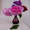 Home Comforts Bouquet Garden Roses Flowering Flowers Nature-20 Inch By 30 Inch Laminated Poster With Bright Colors And Vivid Imagery-Fits Perfectly In Many Attractive Frames view 1