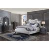 Acme House Delphine Wooden Frame Dresser Mirror with Beveled Edge in Charcoal view 2