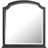 Acme House Beatrice Wooden Arched Frame Mirror with Beveled Edge in Charcoal view 1