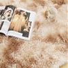 Icegrey Oval Soft Fluffy Shaggy Area Rug Non-Slip Plush Faux Fur Floor Carpets for Bedroom Living Room Home Decorative Kids Play Mats, Tie-dye Light Grey, 3.6ftx6ft view 2