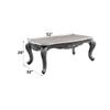 Acme Ariadne Rectangular Marble Top Wooden Coffee Table in Platinum Gray view 3