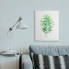 Stupell Industries Minimal Green Palm Tropical Plant Over White view 2