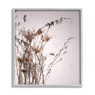 Stupell Industries Autumn Thistles in The Sky Neutral Brown Beige, Design Fabrikken Grey Framed Wall Art, 16 x 20, Off-White