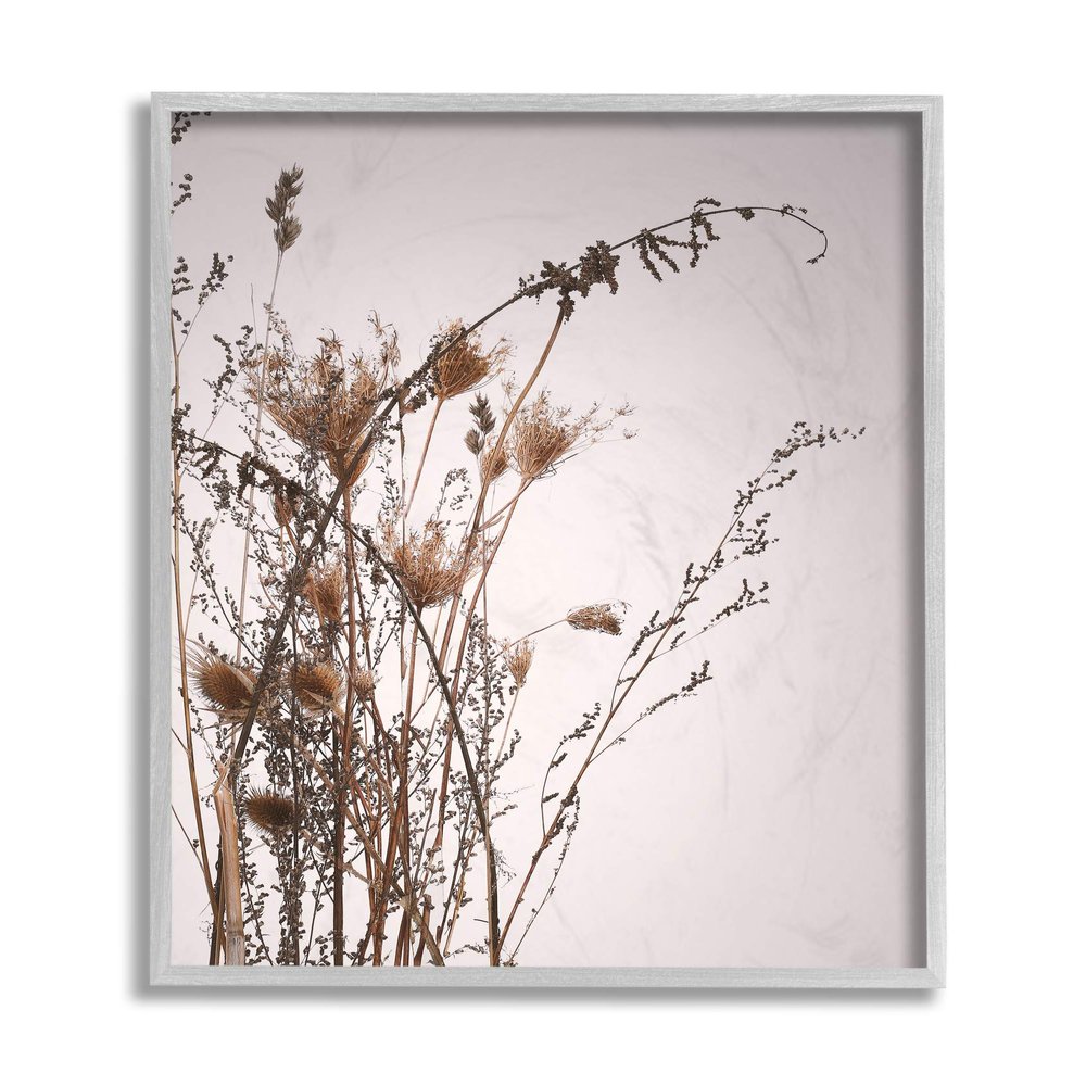 Stupell Industries Autumn Thistles in The Sky Neutral Brown Beige, Design Fabrikken Grey Framed Wall Art, 16 x 20, Off-White