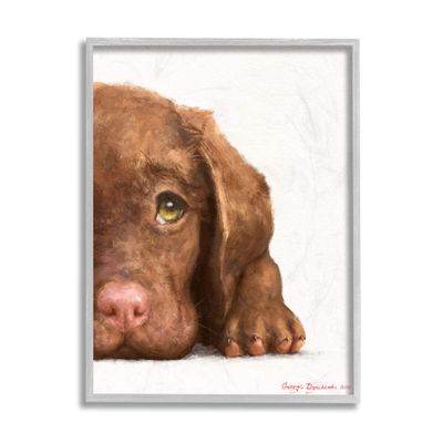 Stupell Industries Chocolate Labrador Puppy Resting Adorable Dog Portrait