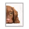 Stupell Industries Chocolate Labrador Puppy Resting Adorable Dog Portrait view 1