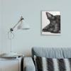 Sleepy Scottish Terrier Portrait Adorable Pet Dog view 2