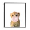 Stupell Industries Baby Lion with Pink Bubble Gum Jungle Animal view 1