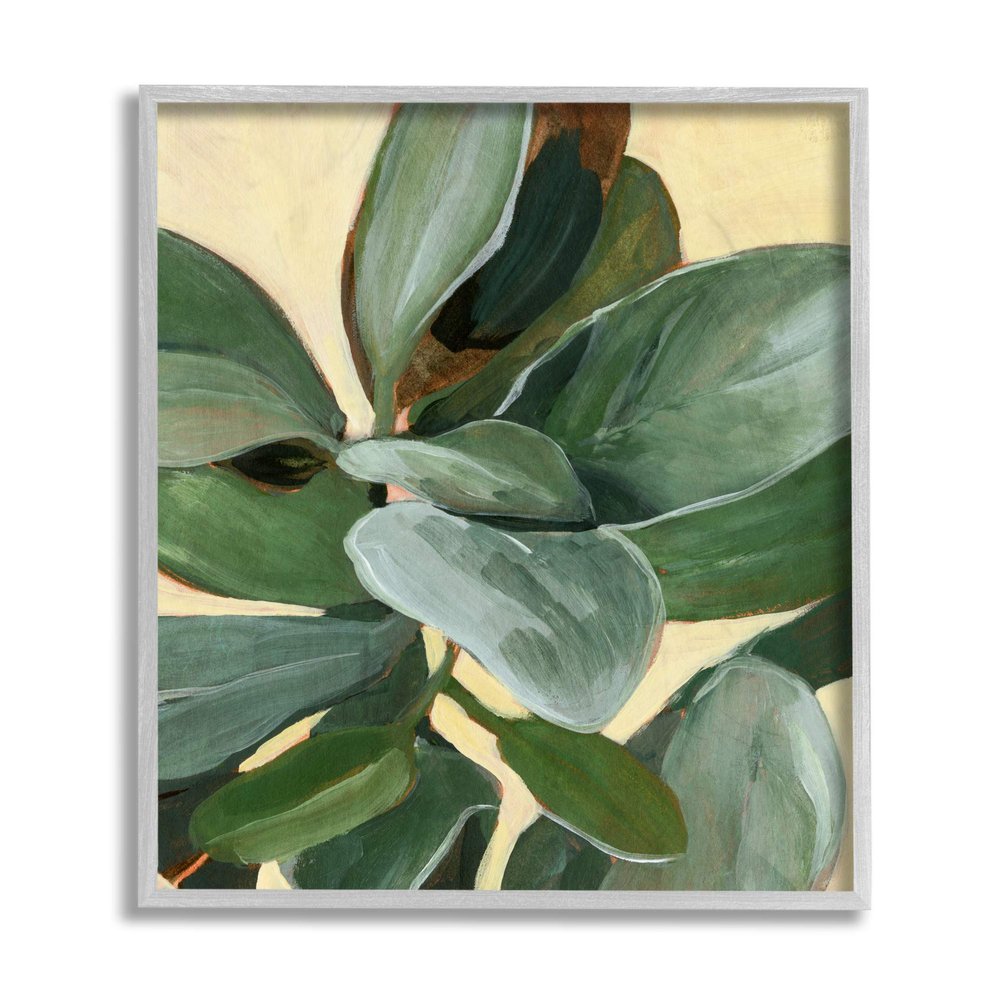 Potted Plant Study Full Green Leaves