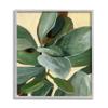Potted Plant Study Full Green Leaves view 1