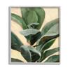 Stupell Industries Plant in Pot Study Curved Green Branches, Design by Annie Warren Grey Framed Wall Art, 16 x 20 view 1