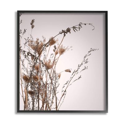 Stupell Industries Autumn Thistles in The Sky Neutral Brown Beige