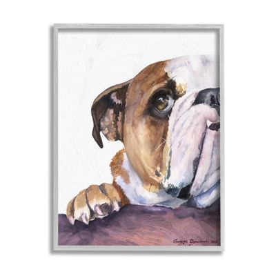 Stupell Industries Curious English Bulldog Gaze Pet Dog Portrait
