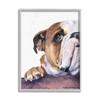 Stupell Industries Curious English Bulldog Gaze Pet Dog Portrait view 1