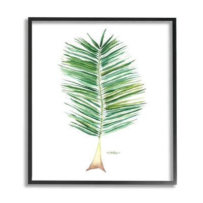 Stupell Industries Coconut Palm Fan Greenery Over White