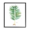 Stupell Industries Coconut Palm Fan Greenery Over White view 1