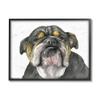 Stupell Industries Chubby Bulldog Portrait Old Dog Charm Black Brown view 1