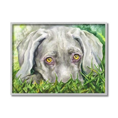 Stupell Industries Weimaraner Puppy Dog Resting in Green Grass