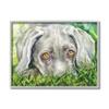 Stupell Industries Weimaraner Puppy Dog Resting in Green Grass view 1